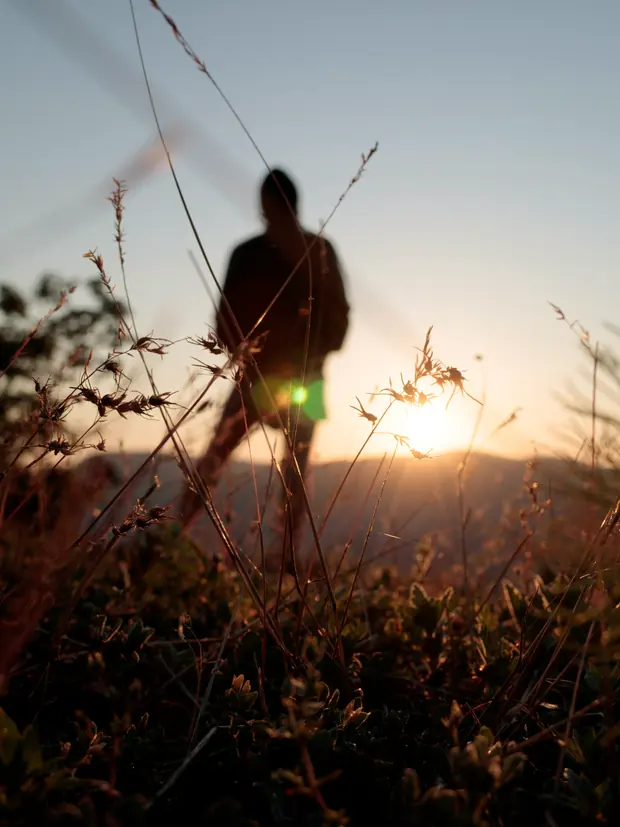 A person walking through tall grass at sunset